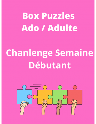 Challenge Puzzles Débutant